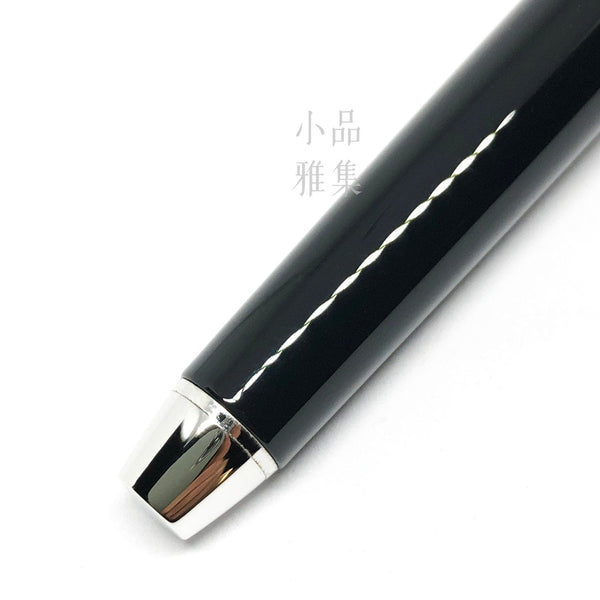 PILOT ELABO Falcon Metal Silver Trim 14k black - TY Lee Pen Shop