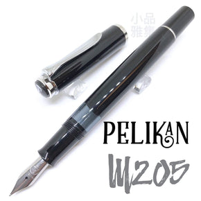 PELIKAN M205 Classic black-silver - TY Lee Pen Shop