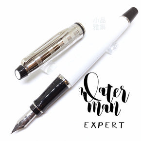 WATERMAN CHARLESTON 18K fountain pen silver-white - TY Lee Pen Shop